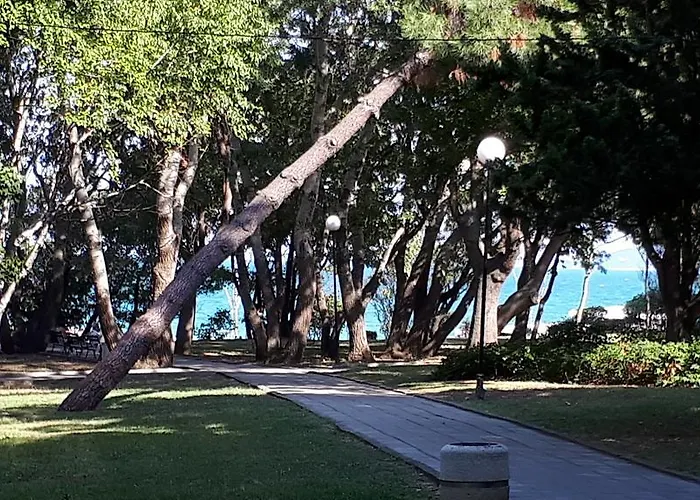 Flora 1 * Burgas Stad