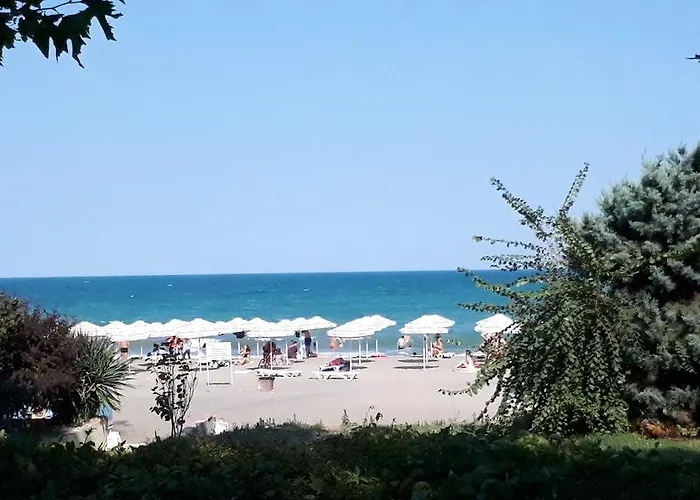 Flora 1 * بورغاس